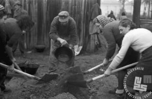 FS2910_25 Udarniška nedelja, Ljubljana, 27.10.1945. Foto Peter Fajfar. Hrani Muzej novejše zgodovine Slovenije.jpg