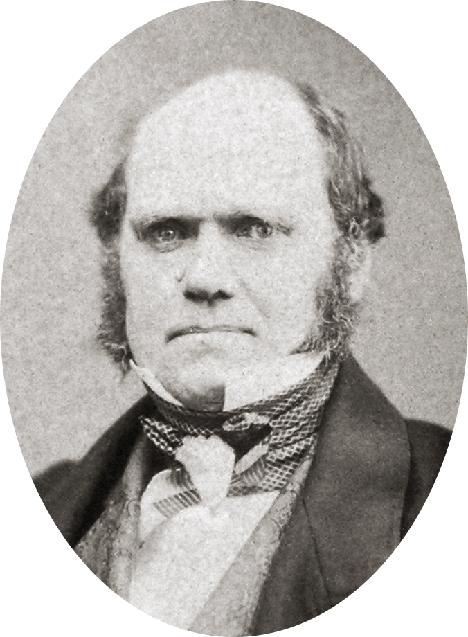 Charles Darwin leta 1855, FOTO: Wikipedia
