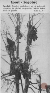 Teden v slikah, let. 1, št. 11, 1937