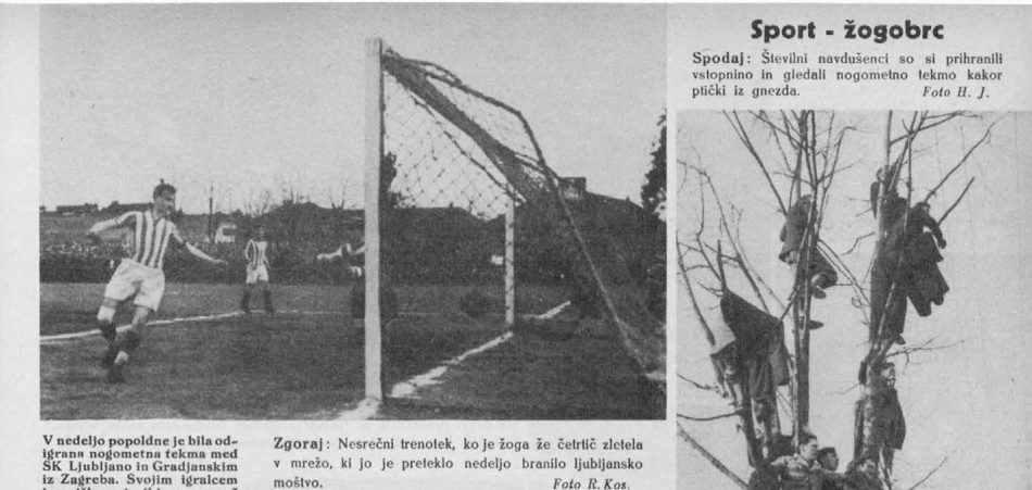 Teden v slikah, št. 11, 1937, str. 5