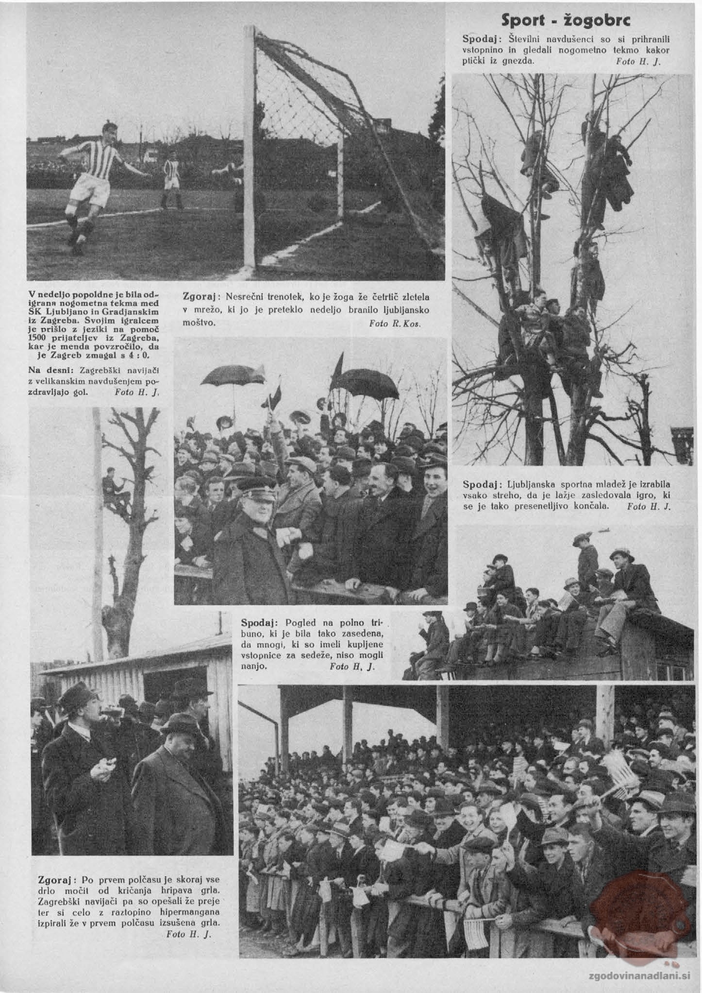 Teden v slikah, št. 11, 1937, str. 5